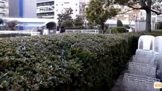 91捕鱼视频在线观看